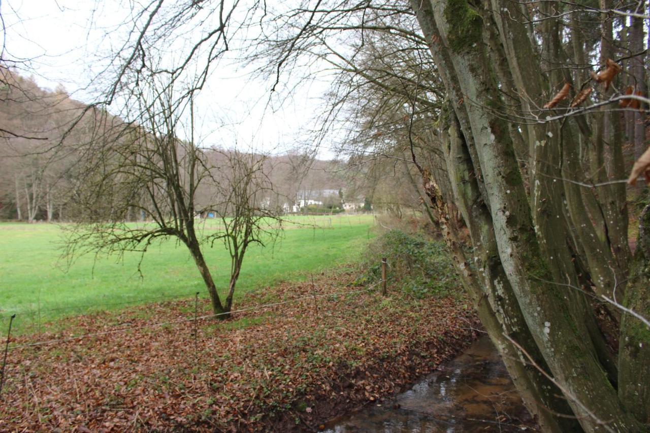 Gaestehaus Herrenmuehle Freudenburg  Bagian luar foto