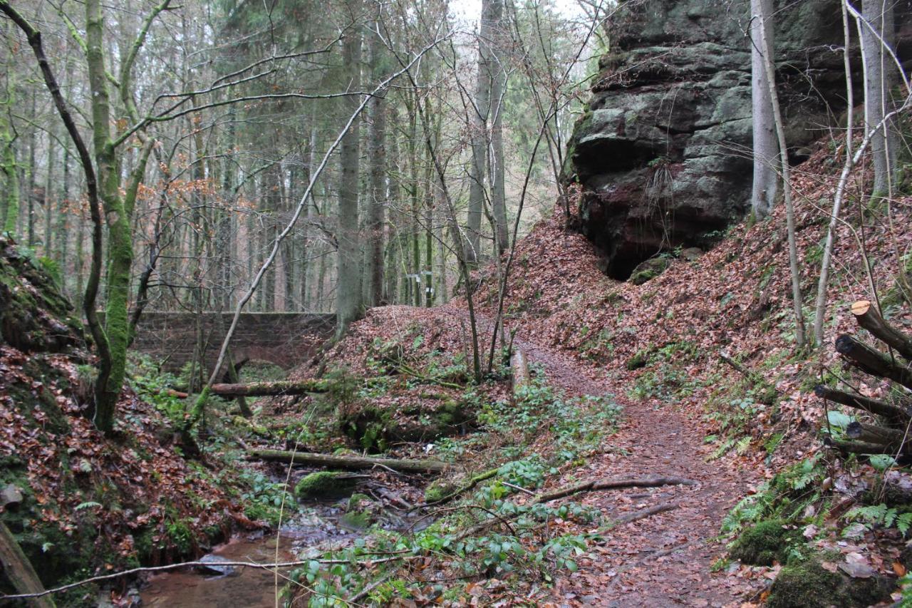 Gaestehaus Herrenmuehle Freudenburg  Bagian luar foto